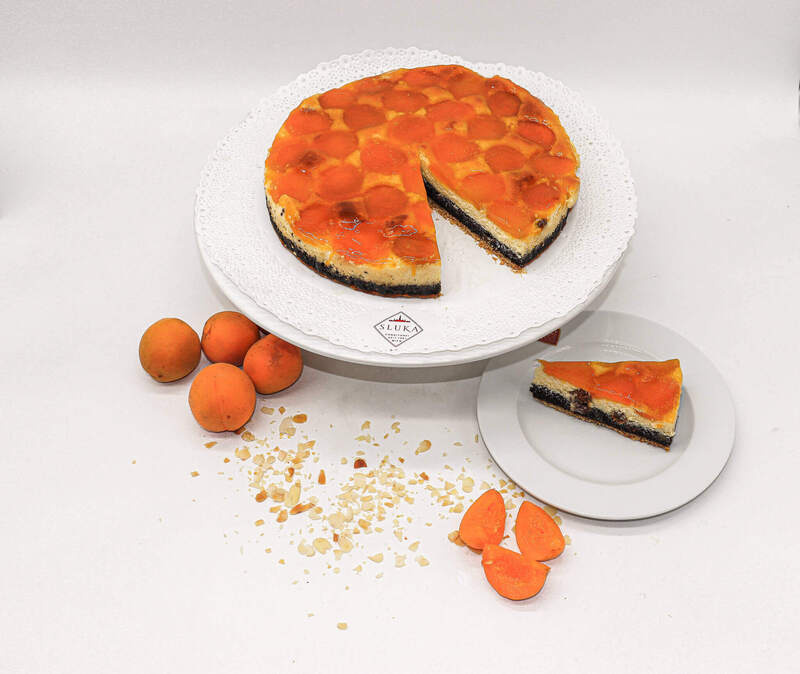 Topfen-Mohn-Marillentorte