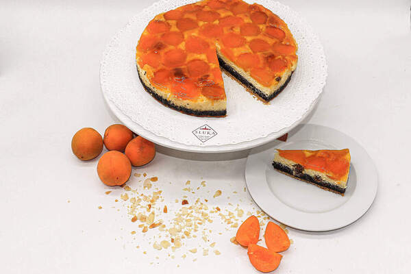 Topfenmohnmarille Torte aus der Conditorei Sluka